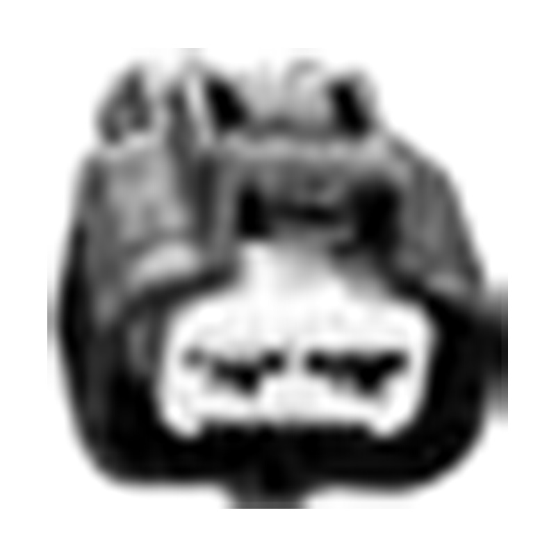 Hangzhou Sol aureus Autoparts Co., Ltd.